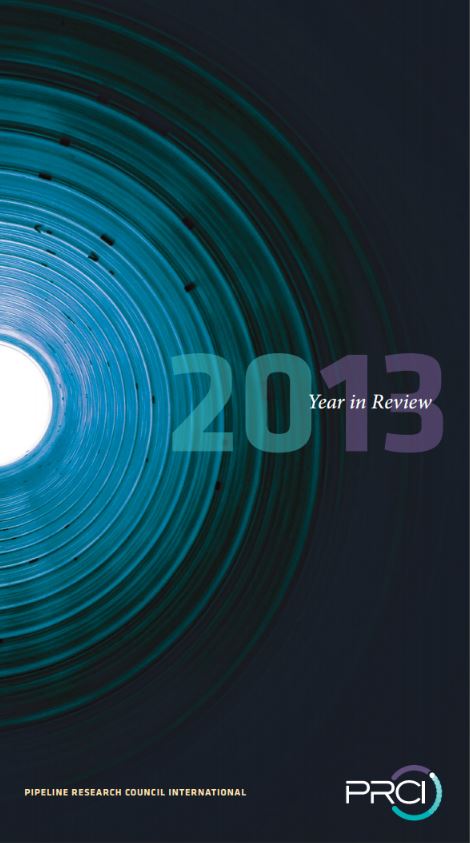 2013 - Year in Review.pdf